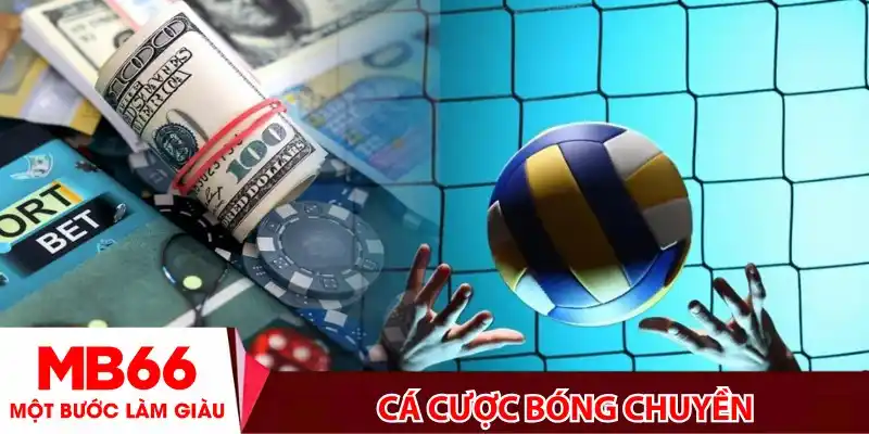 Cá Cược Bóng Chuyền- Hướng Dẫn Soi Kèo Toàn Tập Cho Người Mới 2025