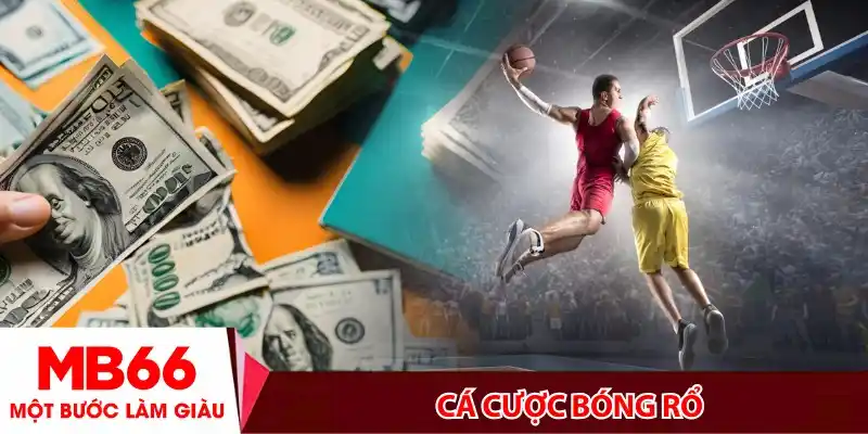 Cá Cược Bóng Rổ- Toàn Tập Kinh Nghiệm Soi Kèo NBA Từ A-Z Cho Người Mới
