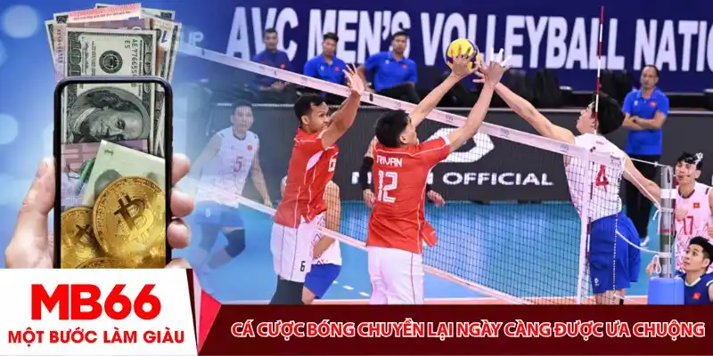 Cá cược bóng chuyền ngày càng được ưa chuộng