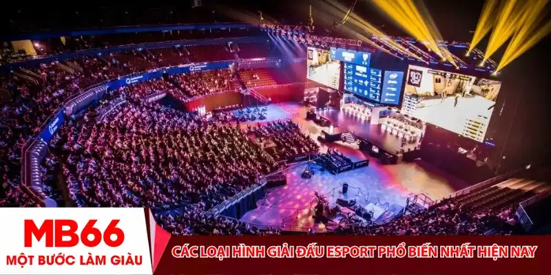 Các loại hình giải đấu Esport phổ biến nhất hiện nay
