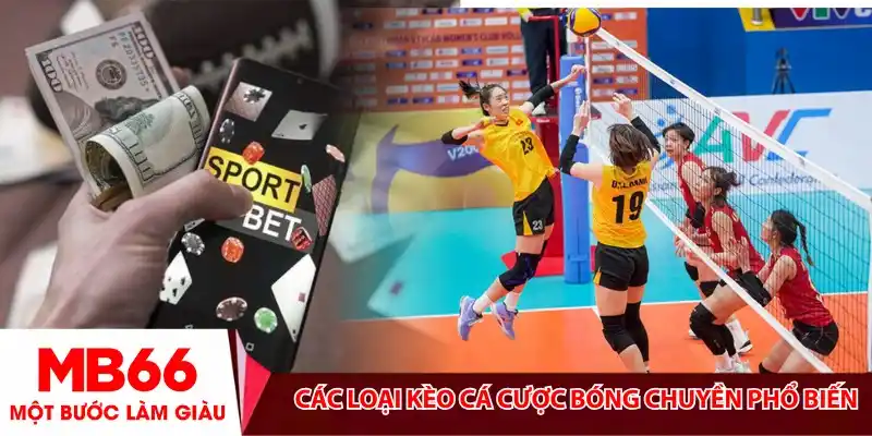 Các loại kèo cá cược bóng chuyền phổ biến