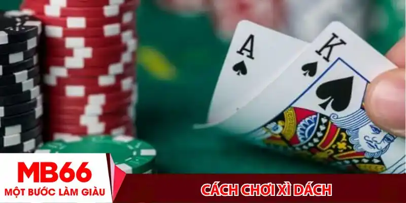 Cách chơi xì dách- Bí kíp thắng lớn cho anh em cược thủ