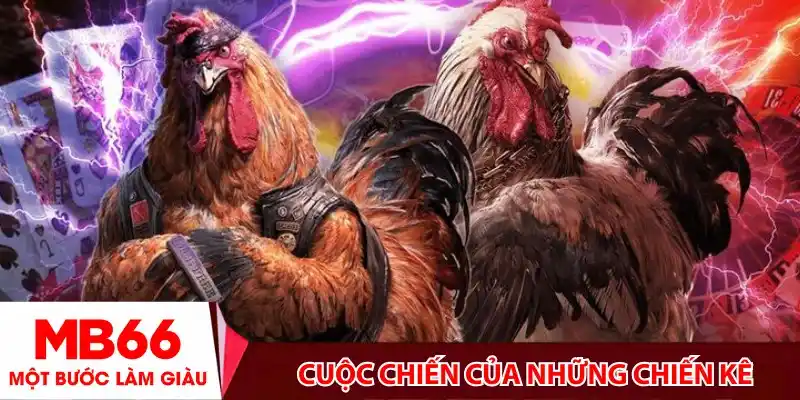 Đá gà là gì?