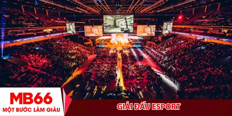 Giải Đấu Esport-Từ Sân Chơi Ao Làng Đến Đấu Trường Tỷ Đô