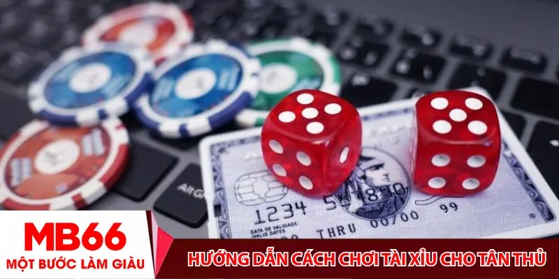 Hướng dẫn cách chơi tài xỉu cho tân thủ
