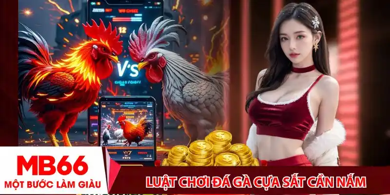 Luật chơi đá gà cựa sắt cần nắm