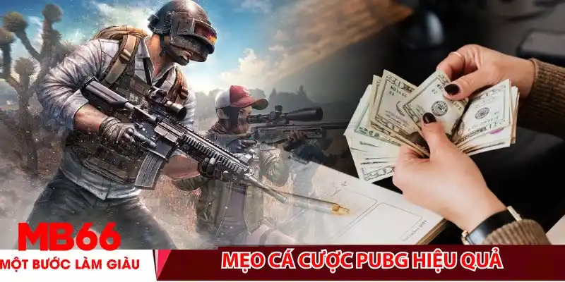 Mẹo cá cược PUBG hiệu quả