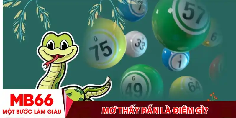 Mơ thấy rắn là điềm gì? Giải mã ý nghĩa và con số may mắn