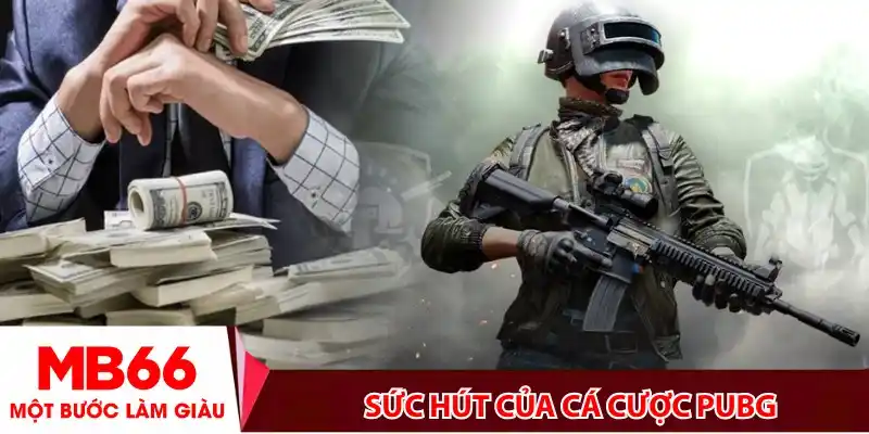 Sức hút không thể chối từ của cá cược PUBG