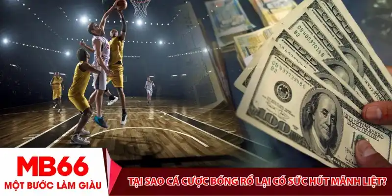 Tại sao Cá cược bóng rổ lại có sức hút mãnh liệt?