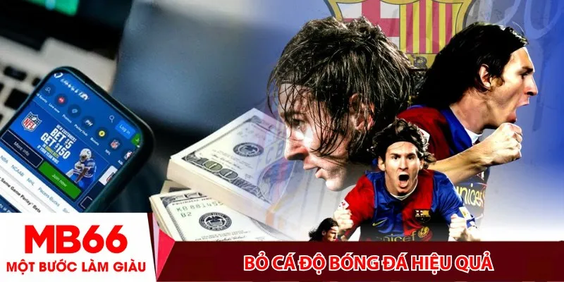 Bỏ cá độ bóng đá hiệu quả