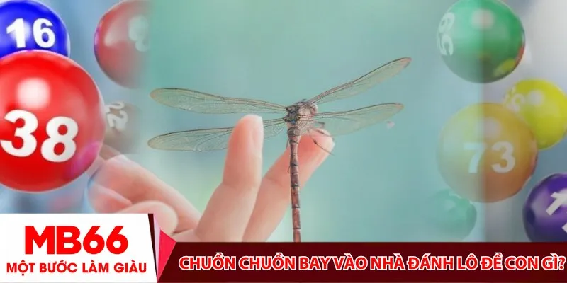 Chuồn chuồn bay vào nhà đánh lô đề con gì?