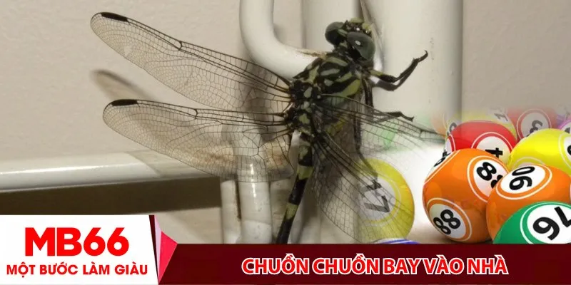 Chuồn chuồn bay vào nhà