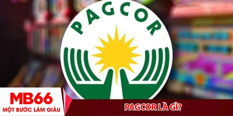PAGCOR là gì? Tìm hiểu tổ chức đứng sau ngành cờ bạc online